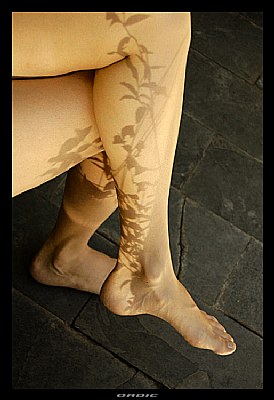 legs in natura
