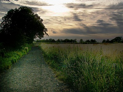 Country Lane