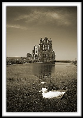 Tones of Whitby Abbey