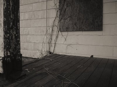 abandoned playhouse