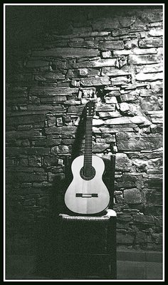 Salvas Guitar