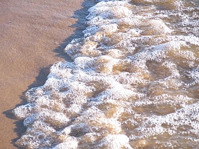 frothy waves