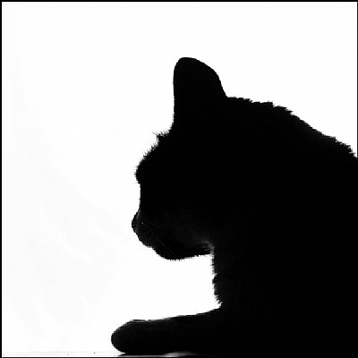 Cat Silhouette II