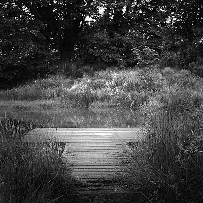 The Jetty