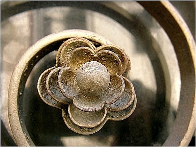 iron flower