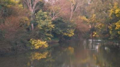 Spring comes early to Banyule