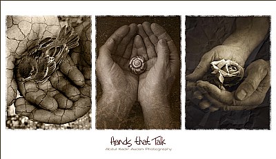 Hands that Talk