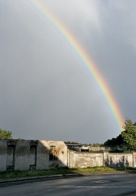 Rainbow #