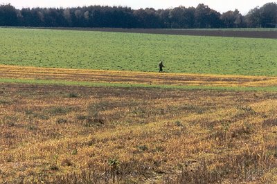 Lonely walker