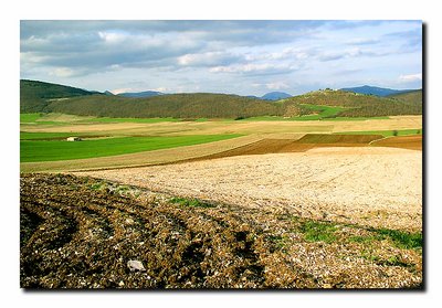 Vivid Umbria