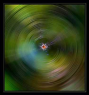 Web Spinning