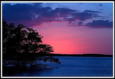 Everglades Sunset II