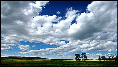 Open Prairie