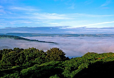 One misty morning