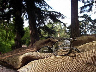 Wondering glasses
