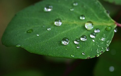 Drops of Light