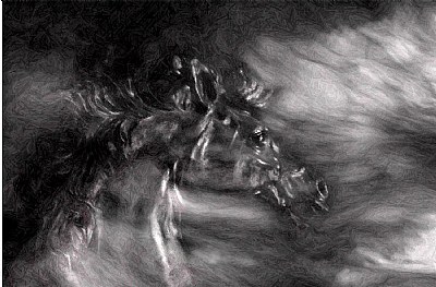 The Wind