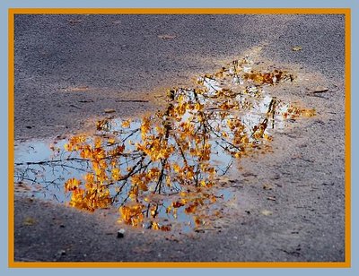 Reflection of Fall