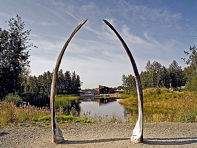 Whale Jaw Bones