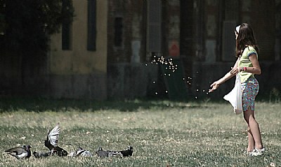 Child in the park 