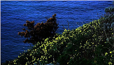 Posillipo