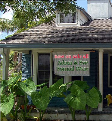 Adam & Eve Boutique