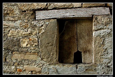 door in a window