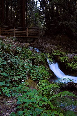 Fall Creek Upper Falls