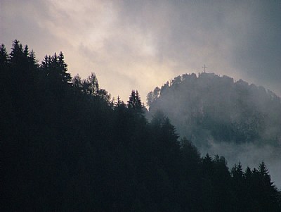 in the fog