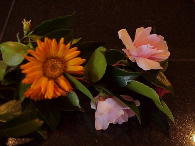 spring flowers