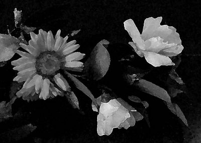 Spring Flower B&W
