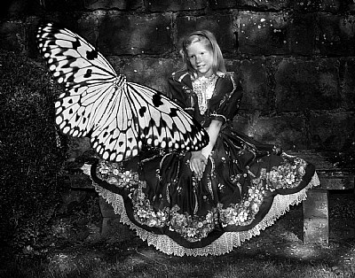 Alice in Wonderland