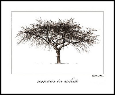 remain in white