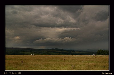 Northumbrian Thunder