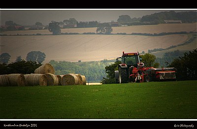 Northumbrian Bales