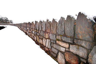 Wall
