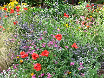 Fairyland