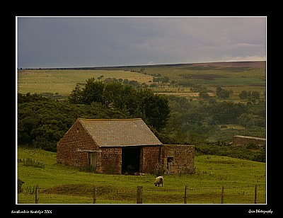 Sheep-Shack