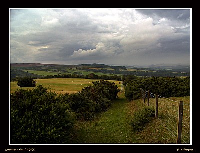 Northumbrian-Neuk