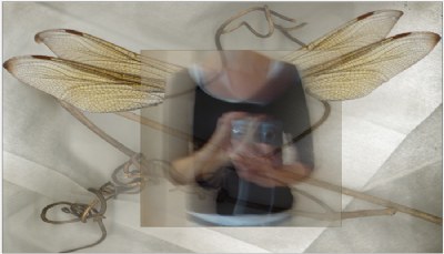 wing_me