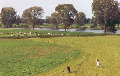 Flood Plains