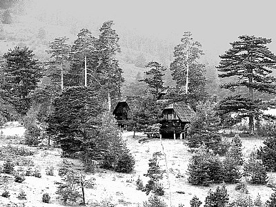 Zlatibor