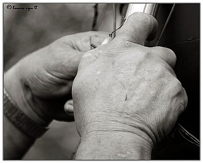 Working hands