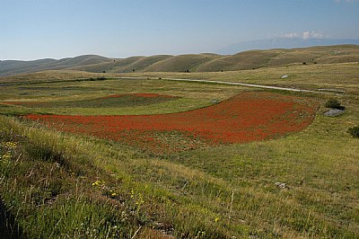 Campo Imperatore