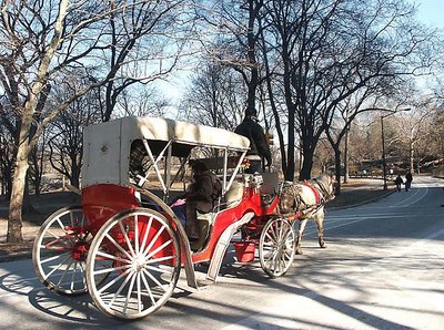 Ride Through Central Park