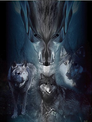 Wolf Spirit