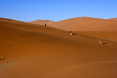 dune hikers