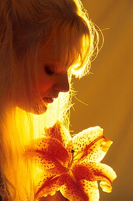 Innocent Dreams Arose