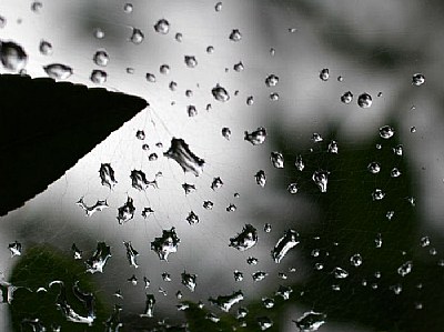 rain drops-3-
