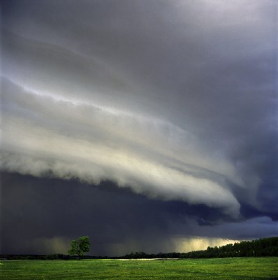 a tree and a storm